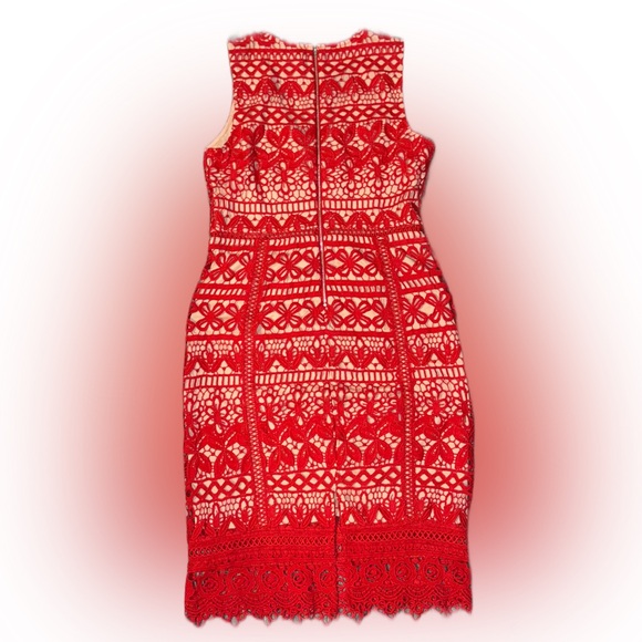 Calvin Tran From the Ultimate Collection Designer Midi Length Dress NEW - Picture 3 of 8